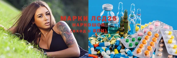 индика Нефтегорск