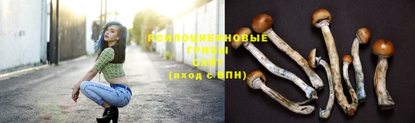 PSILOCYBIN Нефтекумск