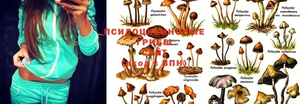 индика Нефтегорск
