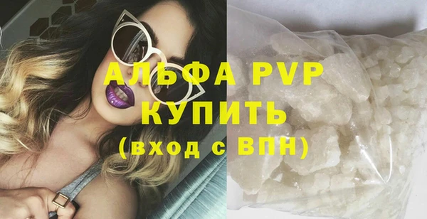 индика Нефтегорск